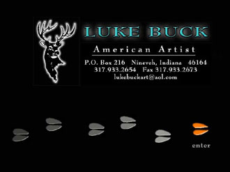 Home page for Luke Buck web site.