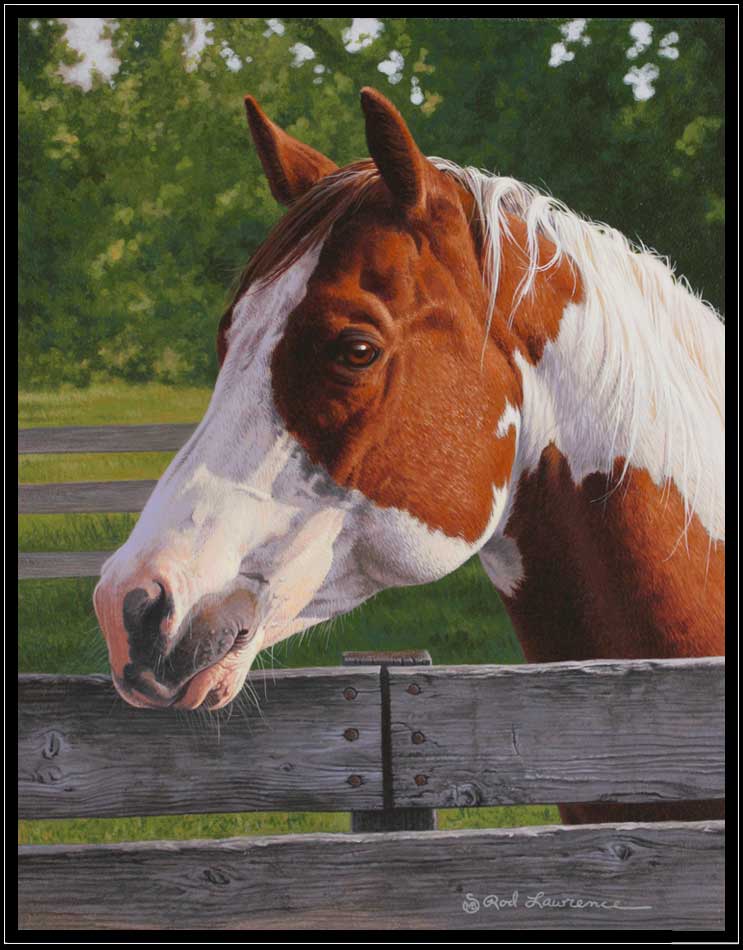 Portrait painting of paint horse