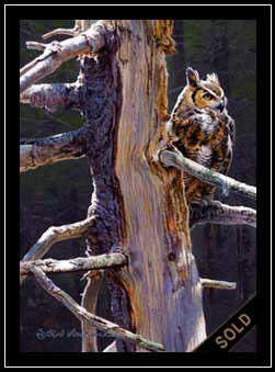 Hooter - great horned owl