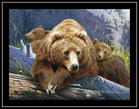 The Three Bears - grizzly family