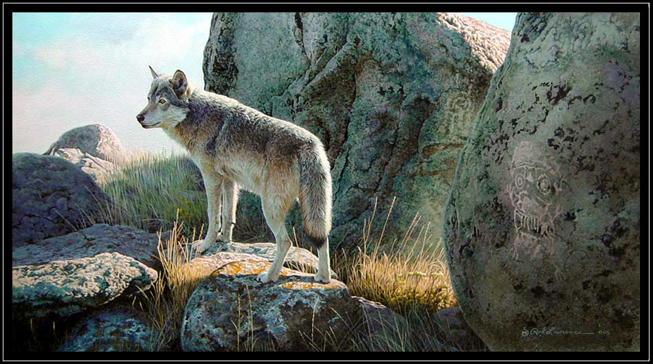 Painting of lone wolf on rocks with petroglyphs