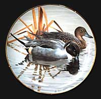 "Pintails" by Rod Lawrence