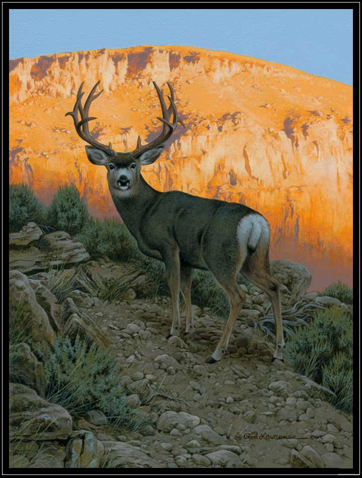 Painting of mule deer buck at sunrise