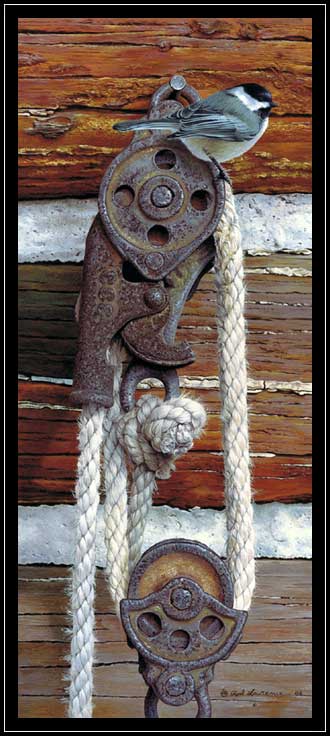 Black-capped chickadee on rusty pully