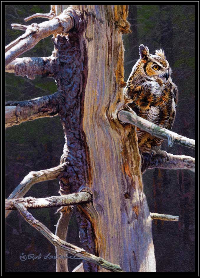 Painting of great horned owl on old pine tree
