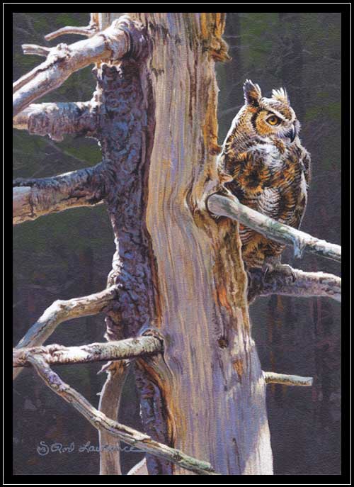Great-horned owl on old tree