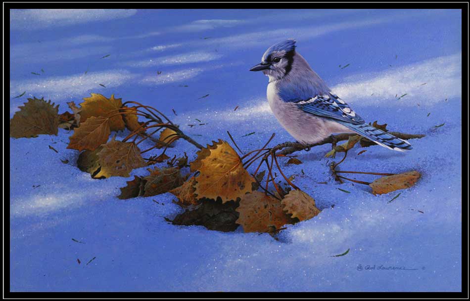 Painting of blue jay on popar branch in snow