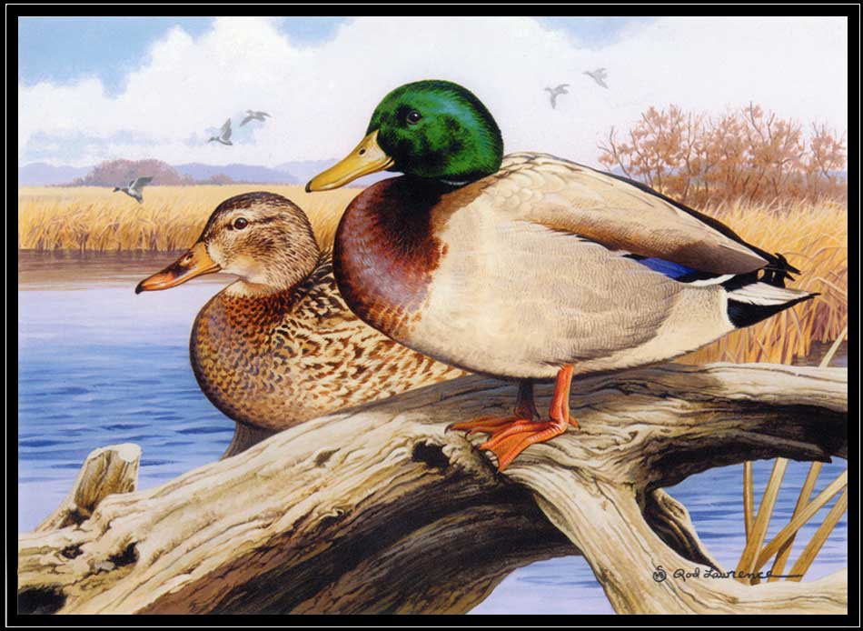 2000 Michigan Duck Stamp