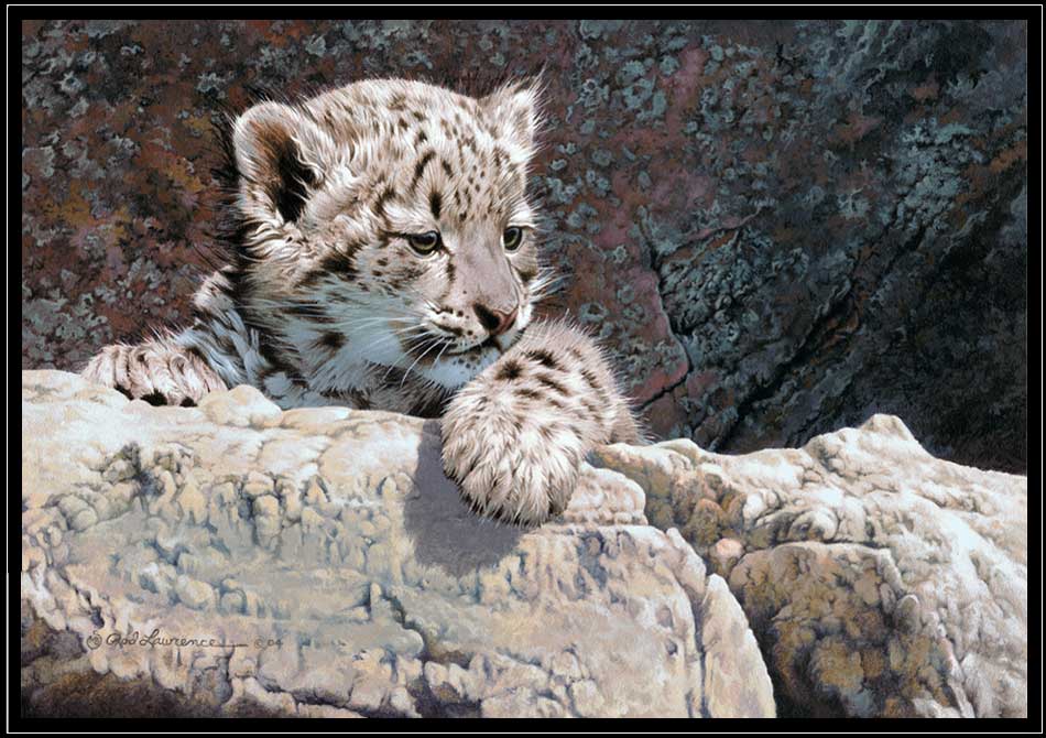 Painting of snow leopard cub on rocks