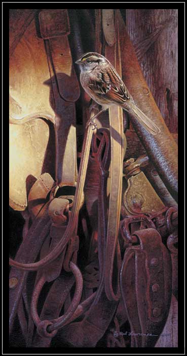 Sparrow on old harness in shaft of light