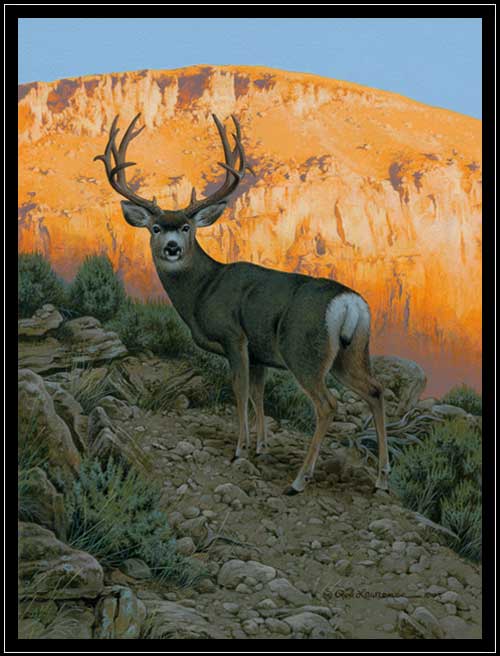 Mule deer with sun, rocks and sagebrush
