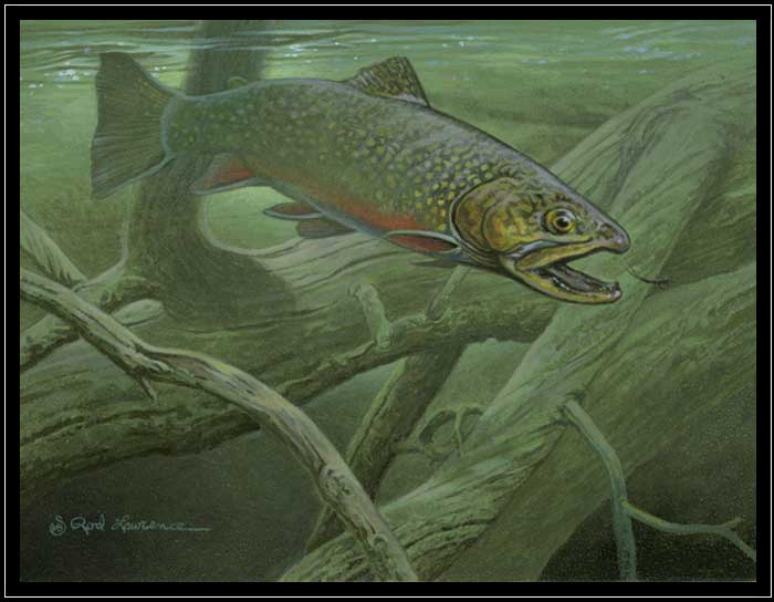 A pair of wolves in the winter moonlight