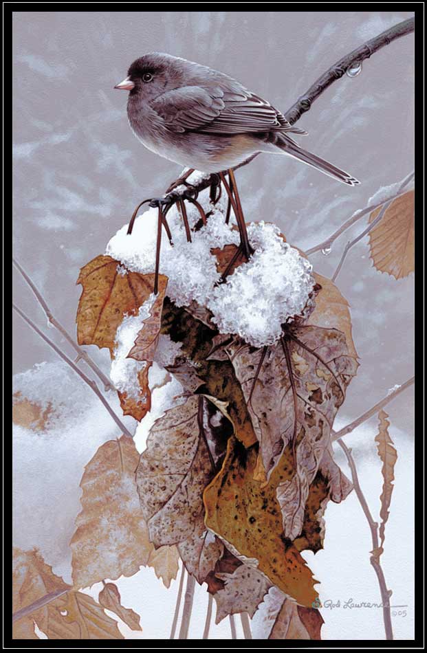 Painting of junco in winter on branch with leaves
