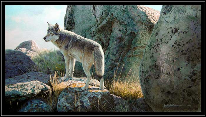 Wolf in rocks with petroglyphs