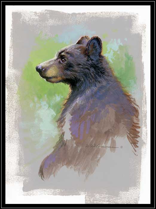 Pair of African lions on kopje