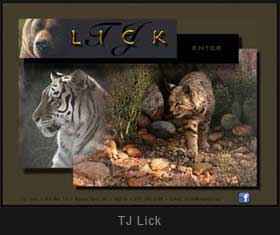 TJ Lick